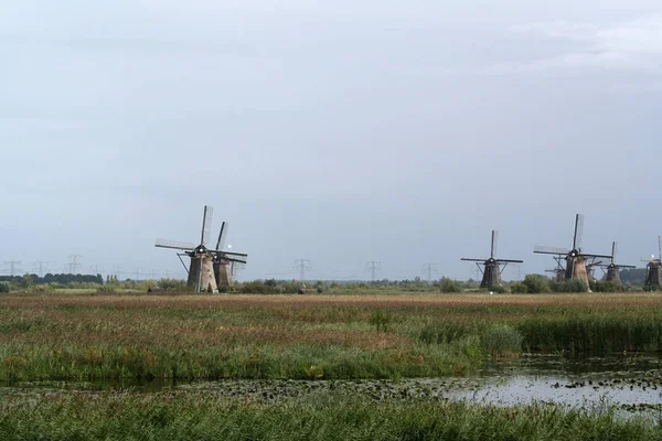 Doğal Hollanda yel değirmenleri — Stok fotoğraf