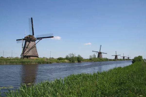 Windmühlen von kinderdijk in holland — Stockfoto