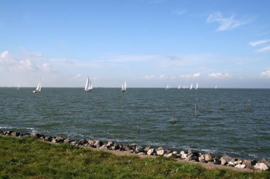 Markermeer yelken