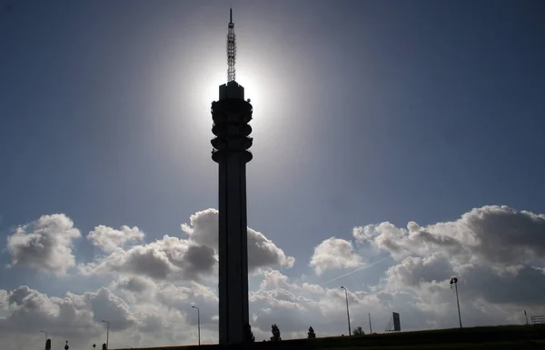 Zendmast bij de Oostvaardersdijk — Fotografia de Stock