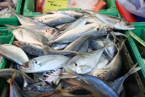 Vis op de markt — Stockfoto