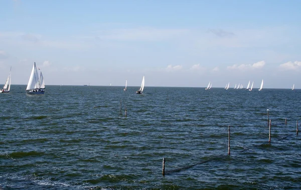 Segling på Markermeer — Stockfoto