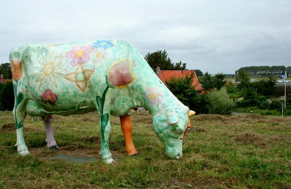 Maassluis yakınındaki çayırda boyalı inekler