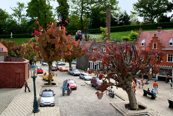 Крупным планом в Мадуродаме самый маленький город Нидерландов — стоковое фото