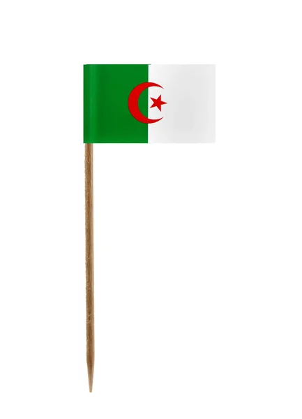 Algerian lippu — kuvapankkivalokuva