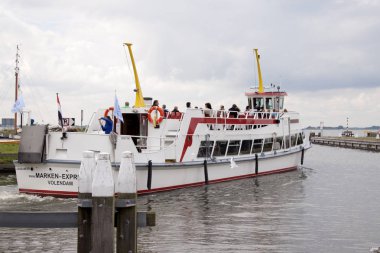 Limanda feribot var.