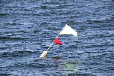 Markermeer 'deki dalgalar