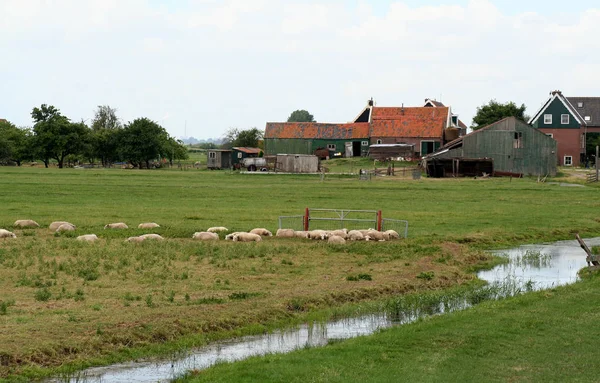 Entorno rural de la isla Marken — Foto de Stock