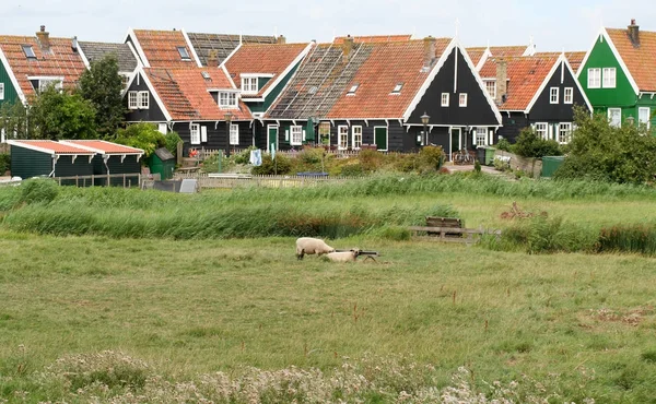 Barrio típico de Marken "el zuiderwerf " — Foto de Stock