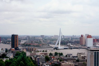 Yukarıda da görüleceği Rotterdam