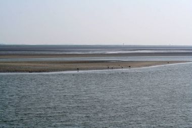 Düşük tide, gelgit waddensea