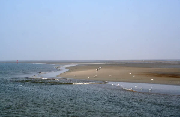 A maré de Waddensea na maré baixa — Fotografia de Stock