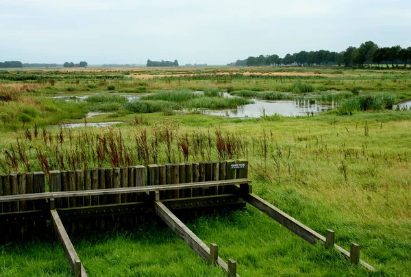 View on the former harbor of Schokland — Stock Photo, Image
