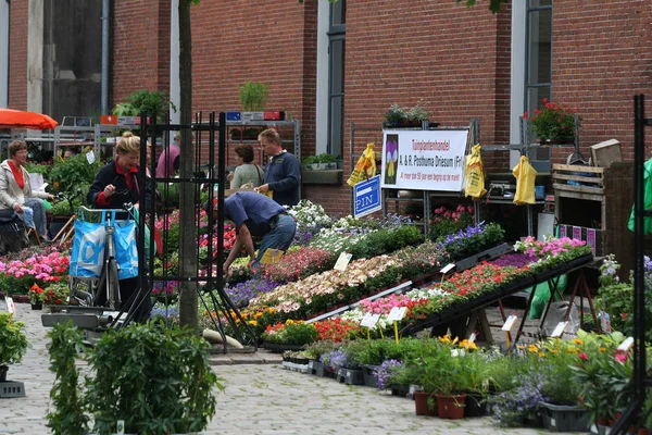 Mercado no mercado em Groningen — Fotografia de Stock