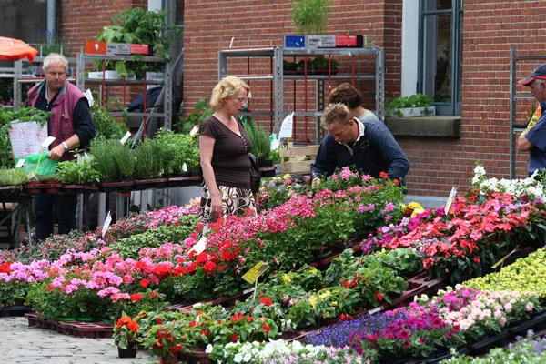 Marché sur le marché de Groningue — Photo