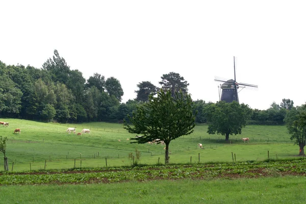 О. п. Vrouweheide є колишнім flourmill в Trintelen Гамлет — стокове фото