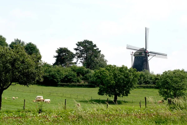 Op the Vrouweheide é uma antiga fábrica de farinha no Hamlet Trintelen — Fotografia de Stock
