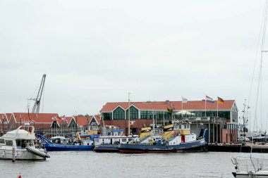 Liman Office ve balık-Müzayede