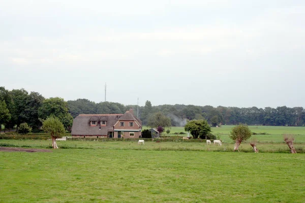 Lingkar langsung dari kota Deventer — Stok Foto