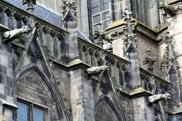 St. Martin's Cathedral, Utrecht eller Dom-kyrkan — Stockfoto