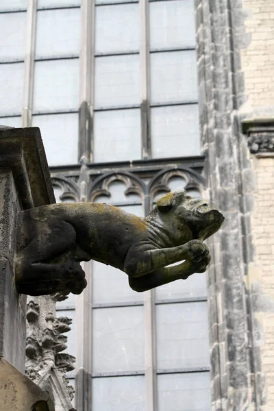 A Szent Márton székesegyház, Utrecht, vagy a Dom templom vízköpő — Stock Fotó