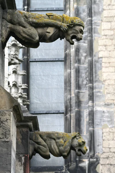 A Szent Márton székesegyház, Utrecht, vagy a Dom templom vízköpő — Stock Fotó