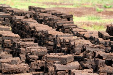 Turba koloni ve açık hava musuem Köyü Barger-Compascuum içinde