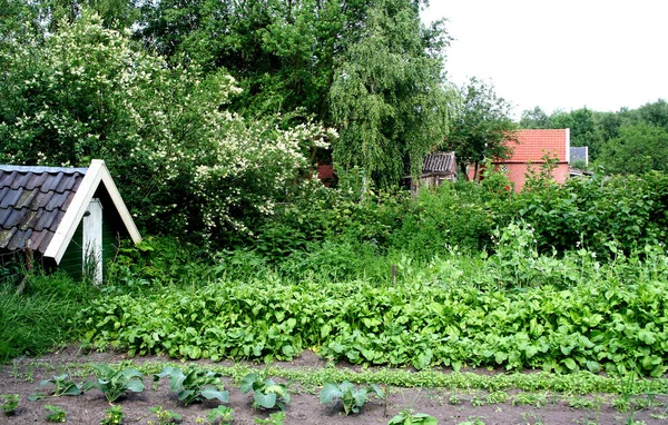 Colônia de turfa e musuem ao ar livre na aldeia de Barger-Compascuum — Fotografia de Stock