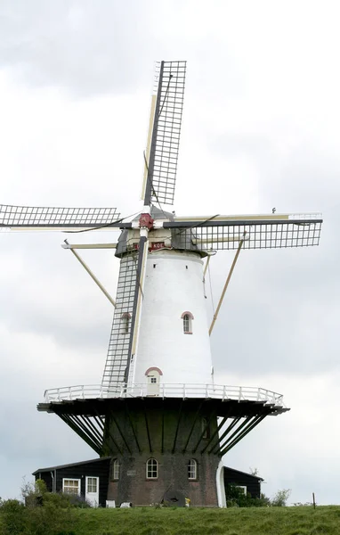 Historický větrný mlýn s názvem bílá kráva — Stock fotografie
