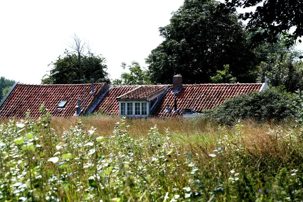 Dijk huizen, landschap in de omgeving van Veere — Stockfoto