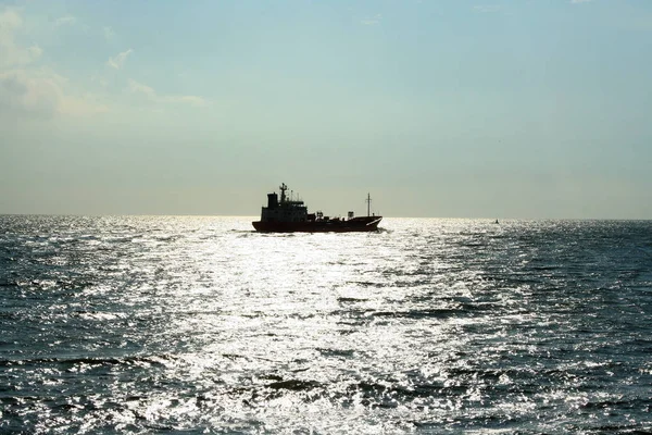 Kontejnerová loď pluje na obzoru v Westerscheldt — Stock fotografie