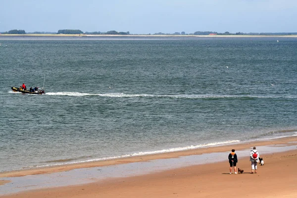 Plage de sable à l'Escaut oriental — Photo