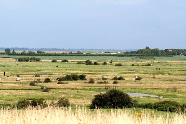 Wemeldinge 'nin kırsal çevresi — Stok fotoğraf