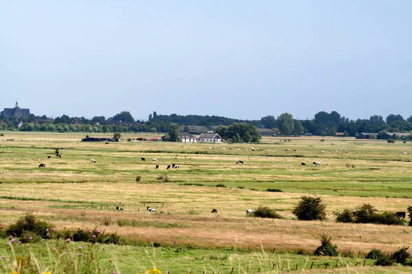 Landelijke omgeving van Wemeldinge — Stockfoto