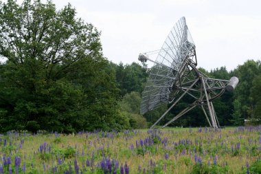 Westerbork sentez radyo teleskop
