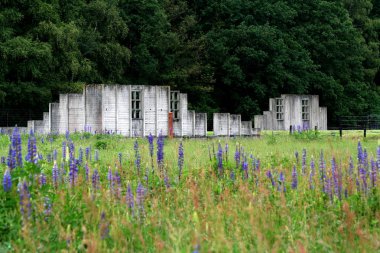 Westerbork aktarma kampı barakalarda kalıntıları 