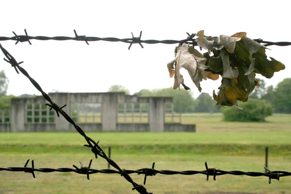 Prikkeldraad met een herfst laat in kamp Westerbork — Stockfoto