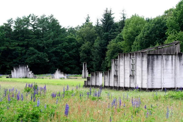 Restos de cuarteles en el campo de tránsito de Westerbork —  Fotos de Stock