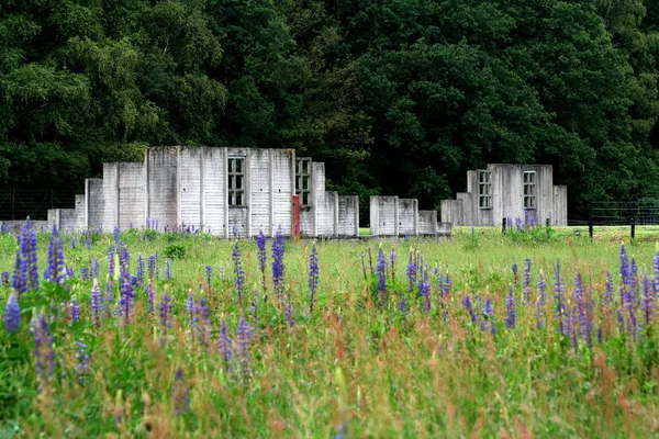 Restos de cuarteles en el campo de tránsito de Westerbork —  Fotos de Stock