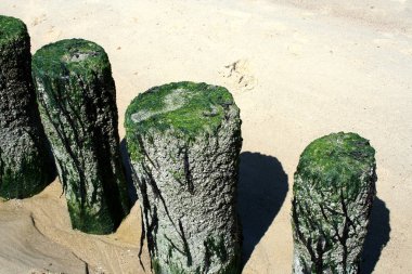 Hollanda, Hollanda, Flamanca, Zeeland, Westkapelle, Temmuz 2017:North deniz plaj ve kumsalları Westkapelle