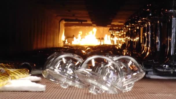 エルドアンボヘミアのガラス張りの工場の内部 — ストック動画
