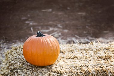 saman üzerinde kabak