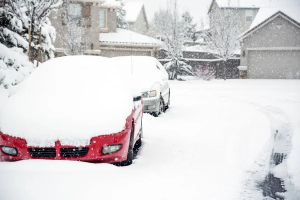 Coches cubiertos de nieve — Foto de Stock