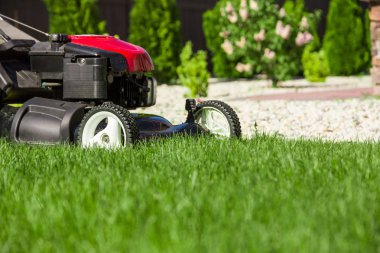 Çim biçme makinesi yeşil çimlerde