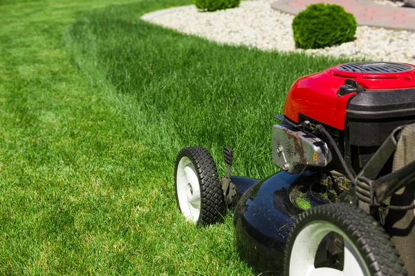 Cortacésped sobre hierba verde — Foto de Stock