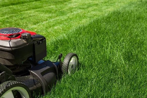 Çim biçme makinesi yeşil çimlerde — Stok fotoğraf