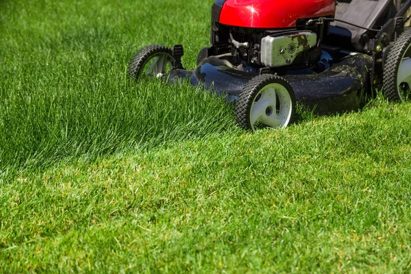 Grasmaaier op groen gras Stockfoto