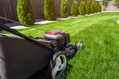Lawn mower on grass clipart