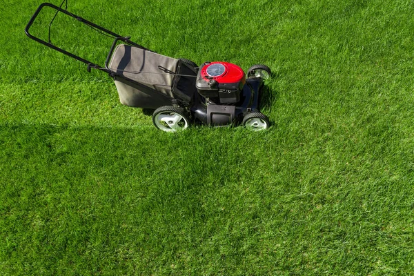 Grasmaaier op gras — Stockfoto