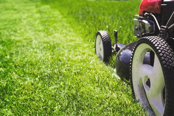 잔디, 잔디 깎는 기계 — 스톡 사진